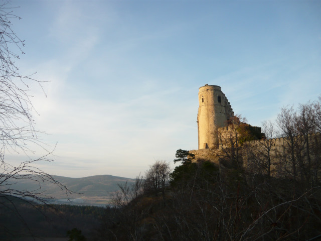 chojnik
