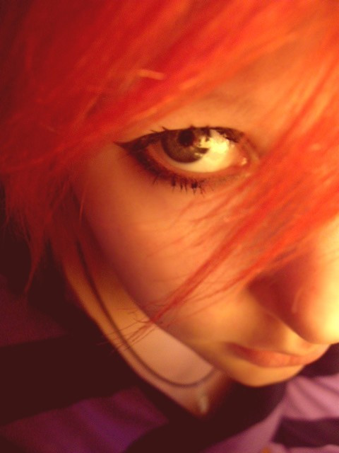 Xiamnotyourtoy.