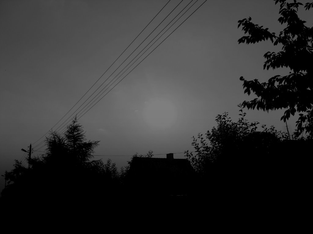 Dead Day.