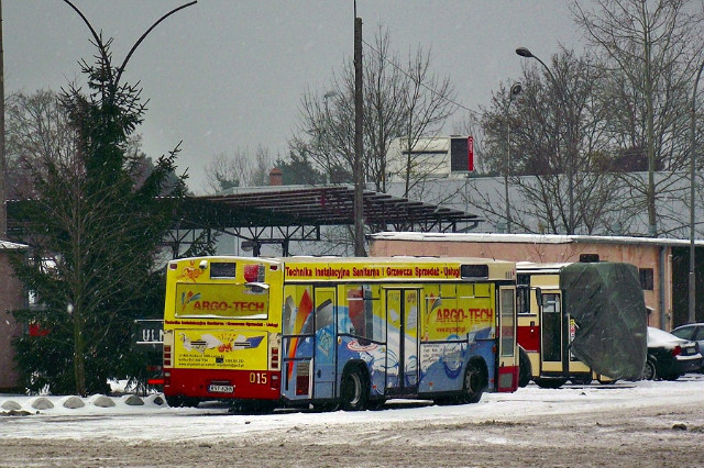 Jelcz M101I #015