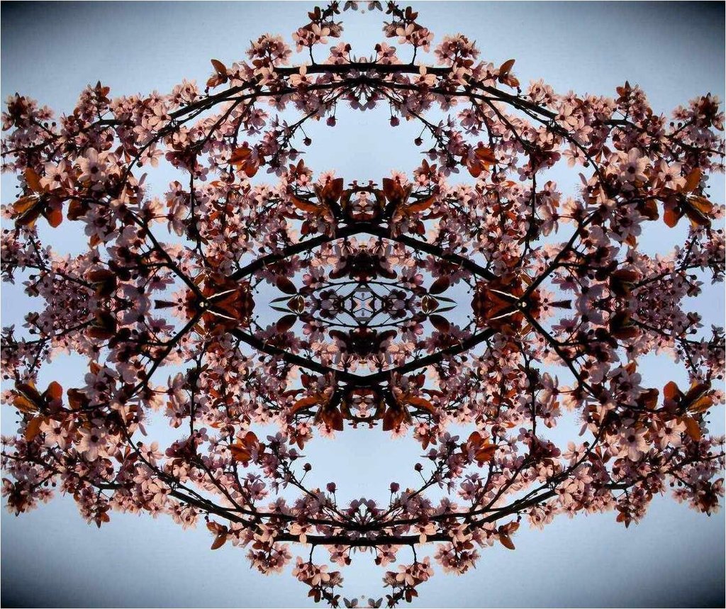 kp