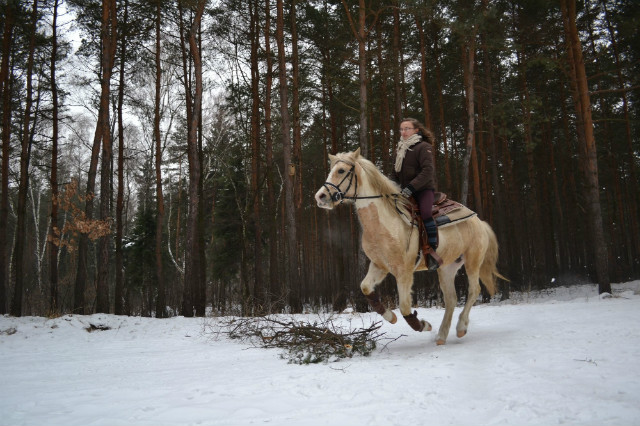 Galop