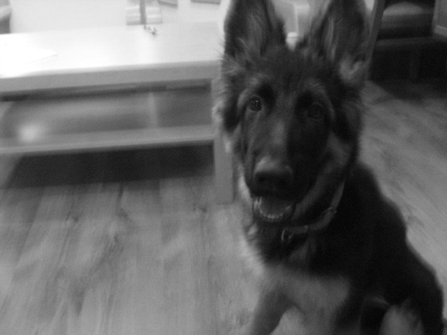 Tiarka . ;>