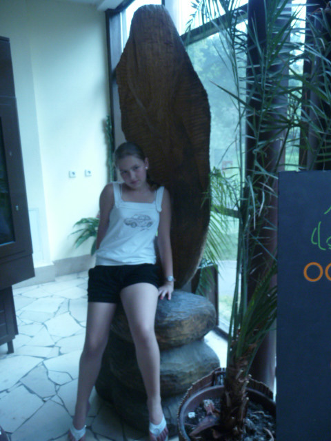 zoo