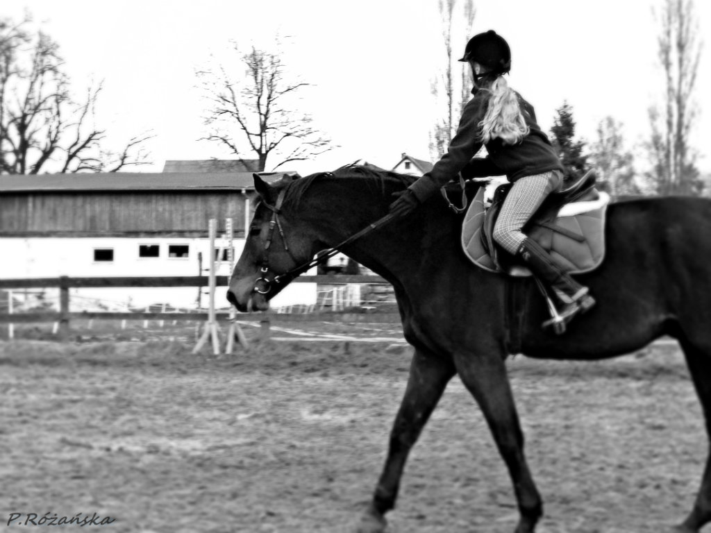 Agnieszka i Amant.