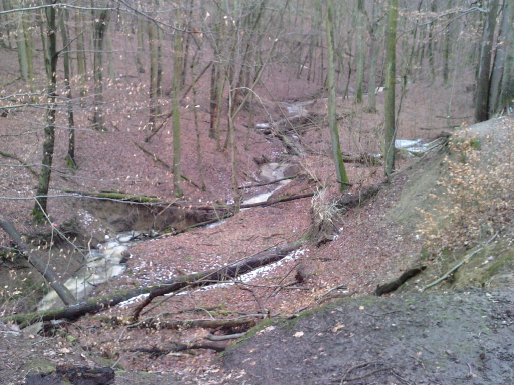 Day 19.02.2012
