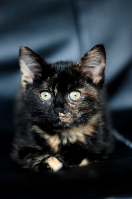 Luna