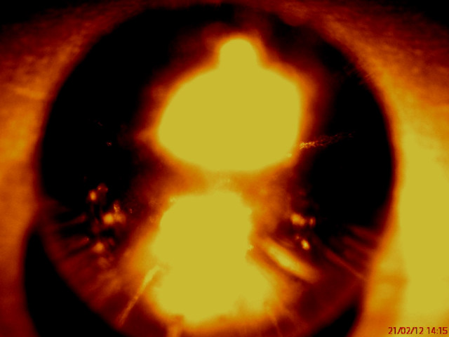 eye of the dragon.........