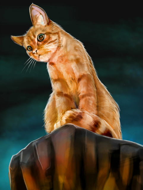 Am I Cat?