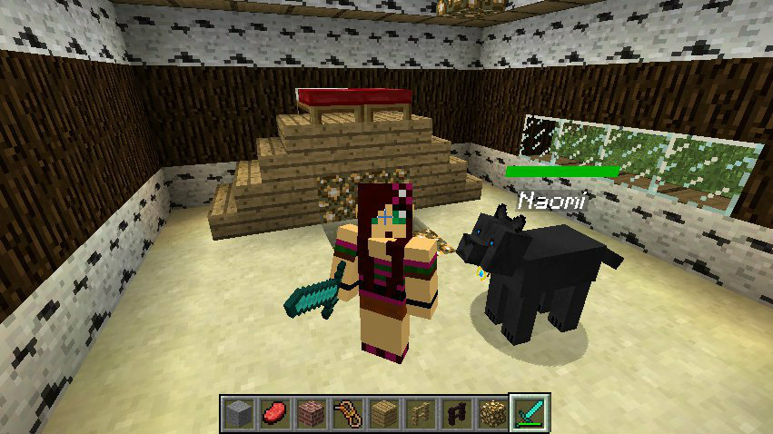 Minecraft xd