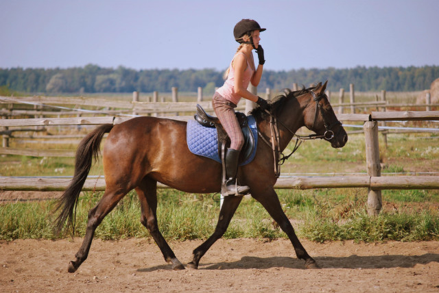 Obz konny 2009 - Wrzosowo