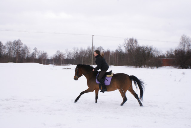 Misia