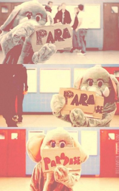 Pitek ; **