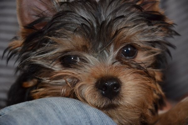 Twix