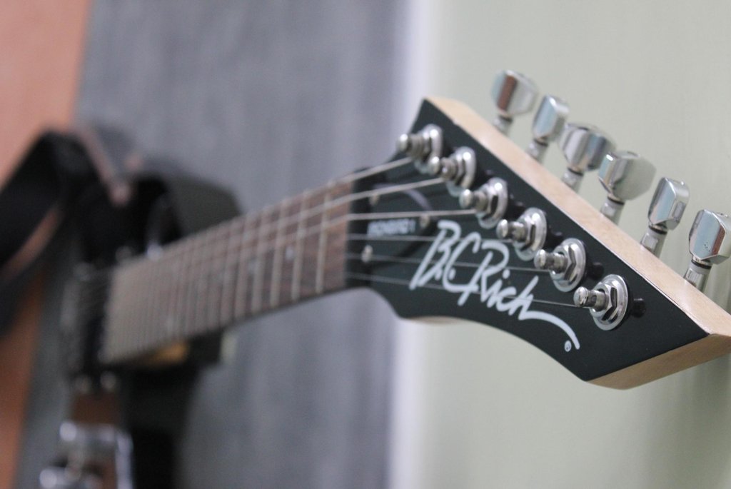 bc rich.
