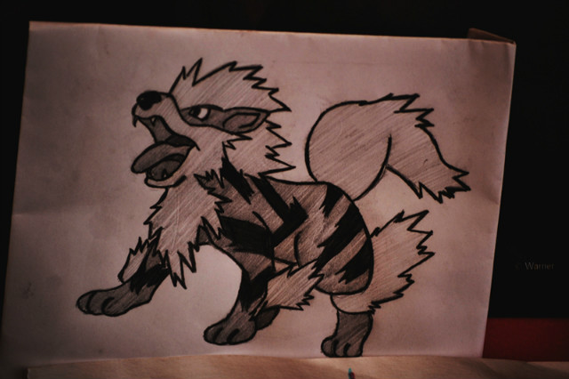 Arcanine.