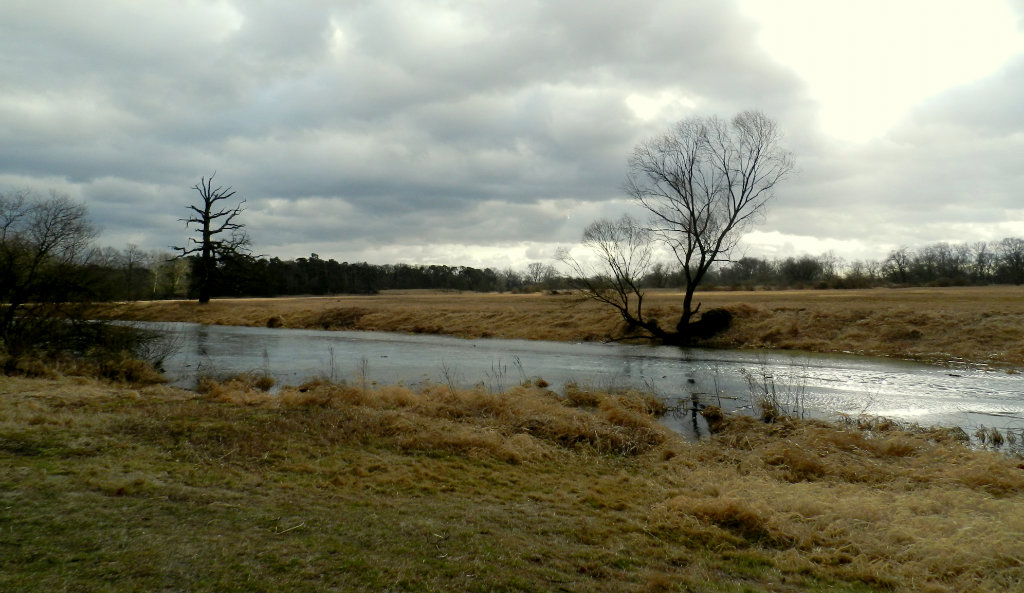 rogaliski park krajobrazowy