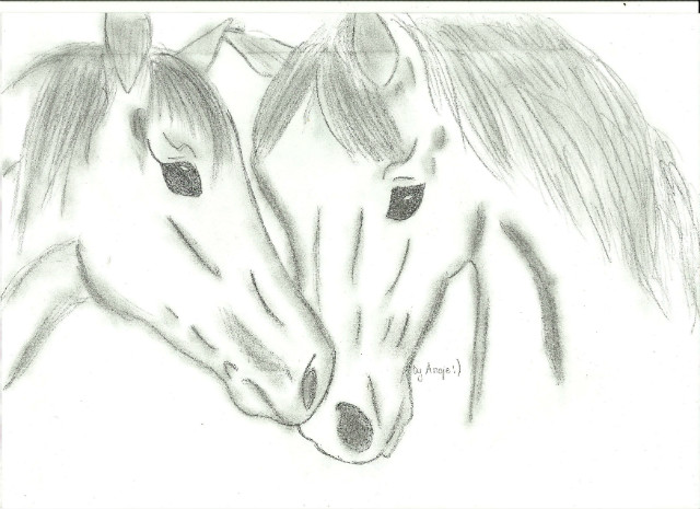 konie.