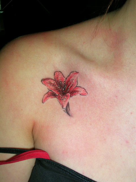 lilita tatua, studiobardo.com