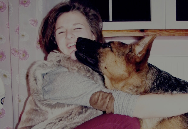 Love pet 