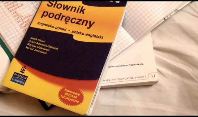 Dzi