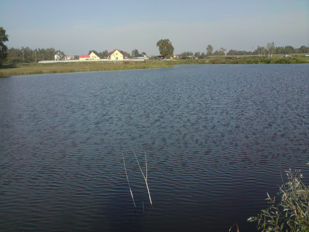 sierakowice zdjcie robine tele.