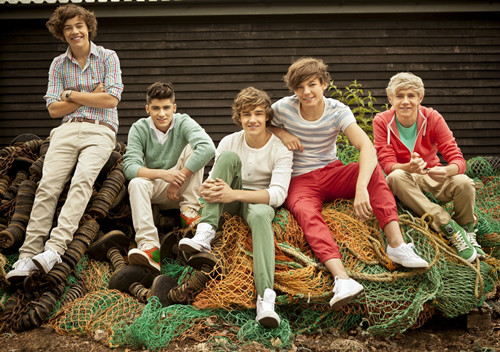 OneDirection