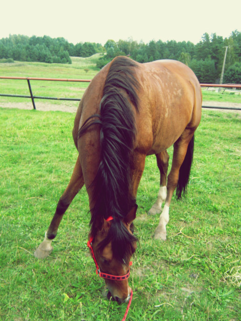 misiaczeek :* .
