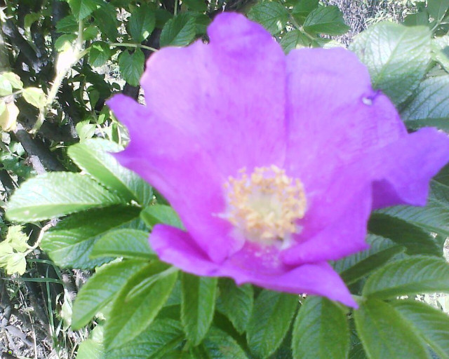 Wspomnienia z wakacji2011roku.!