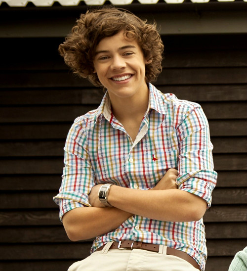 Harry Styles 