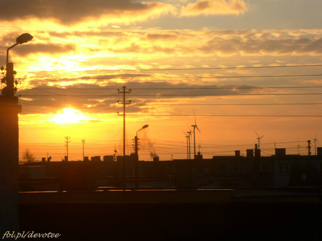 wake up in the morning