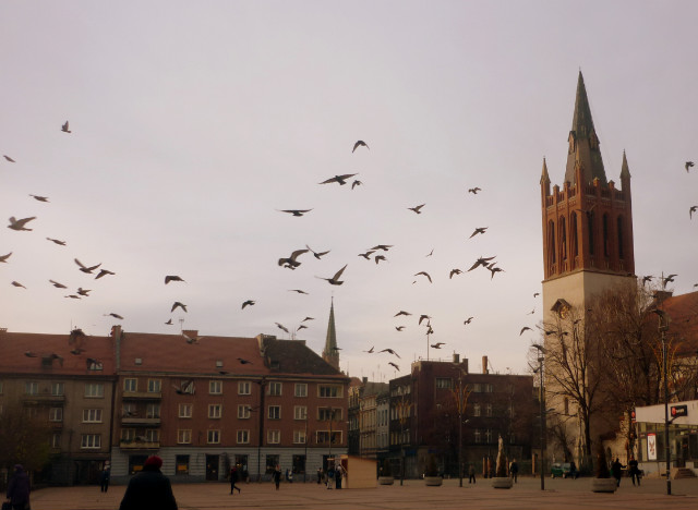 rynek.