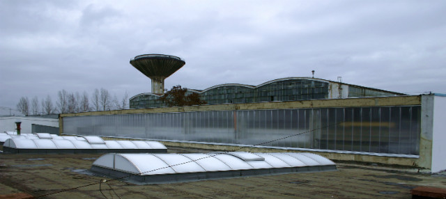 Starachowice