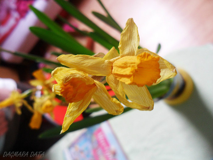 flowers .