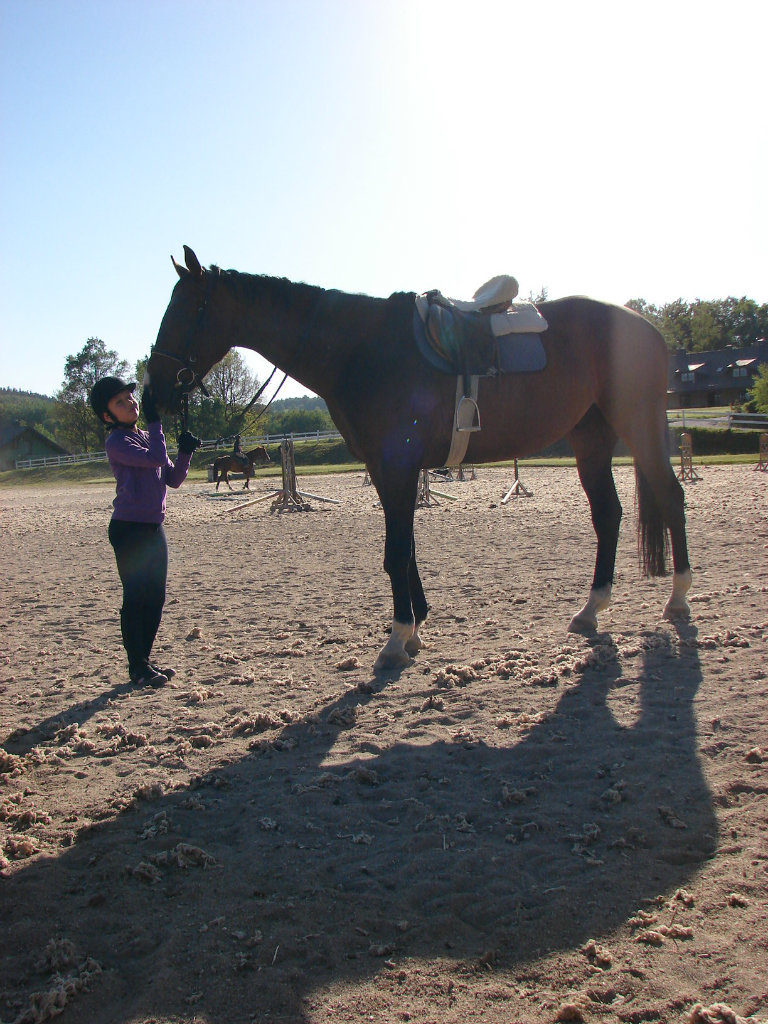 Zefir