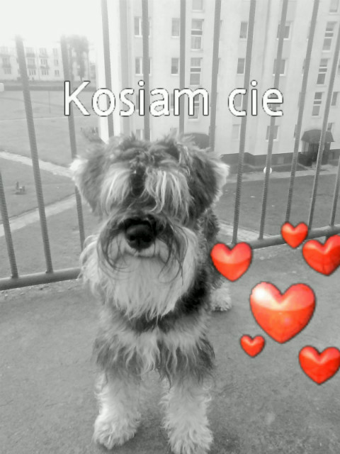 Mojaaaa Mio &#9829;&#