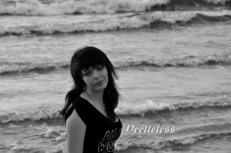 morze 2011