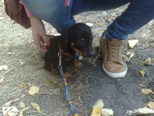 niuniuch :)