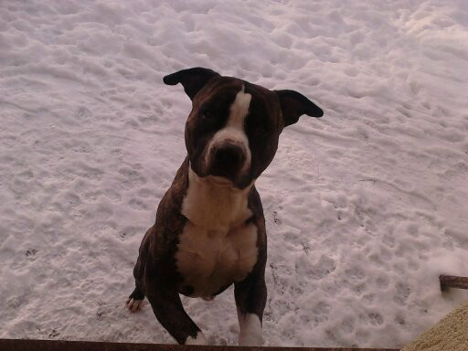 moj obronca ; ) 