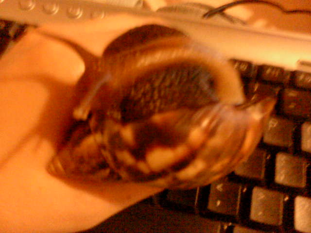 Zasz :)