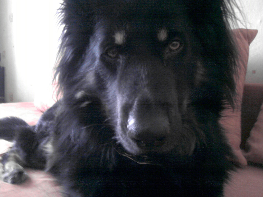 Ryzy !!!!!