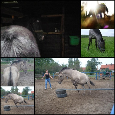 I MISS ...