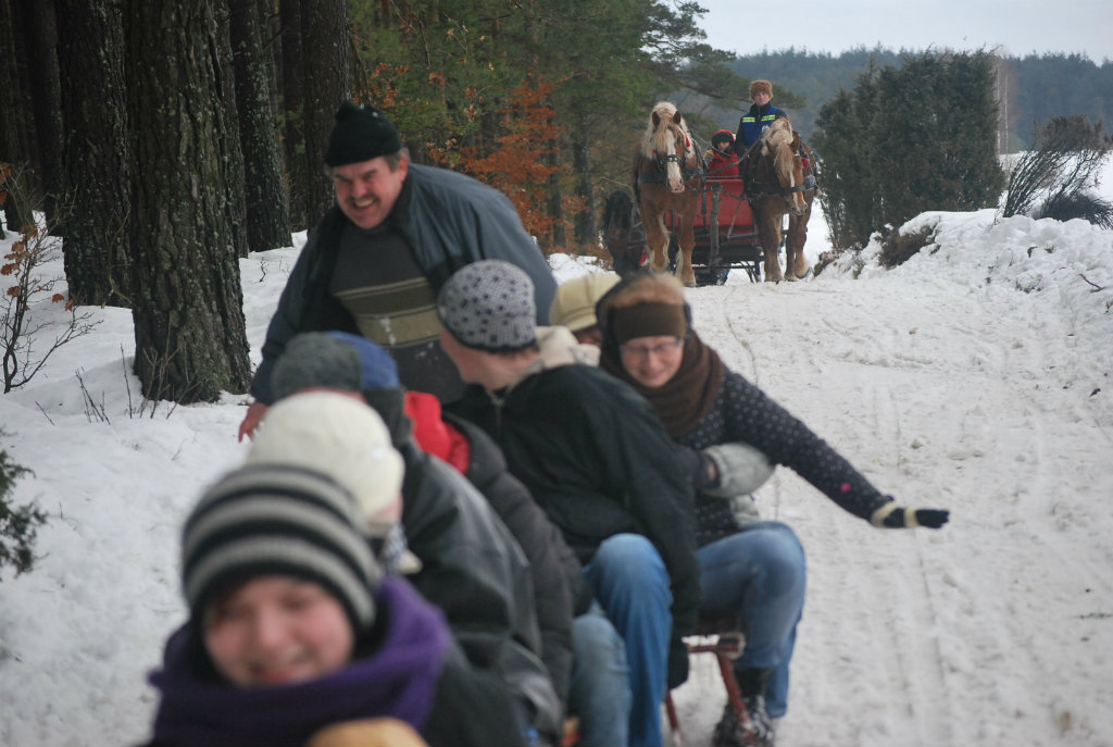 Kulig2012