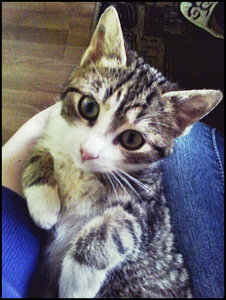 Kitusia :*