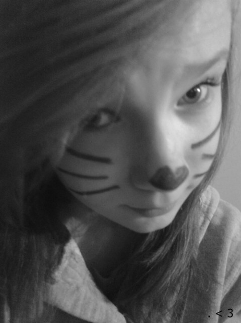 Kotek . : *