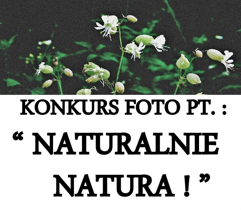 NATURALNIE NATURA !