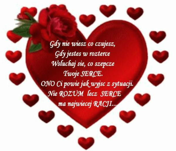 SERCA GOS...