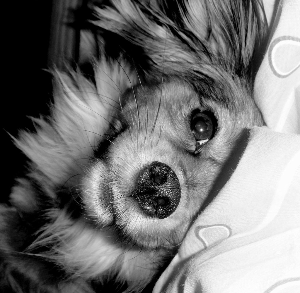Lady :* 