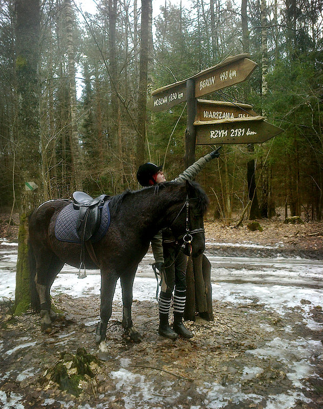 1855.