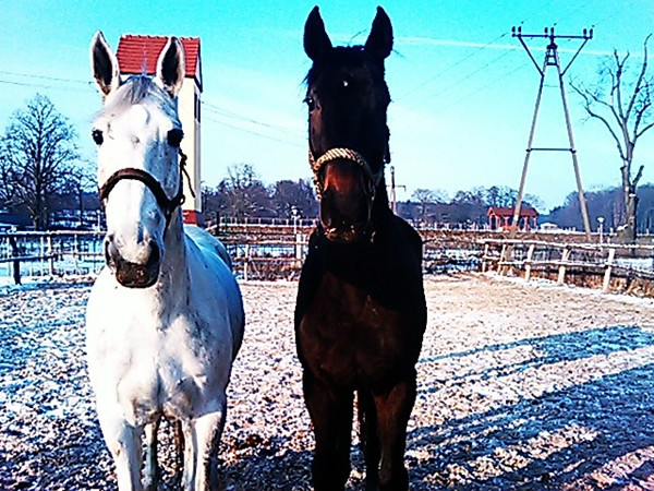 Pera & Nefryt
